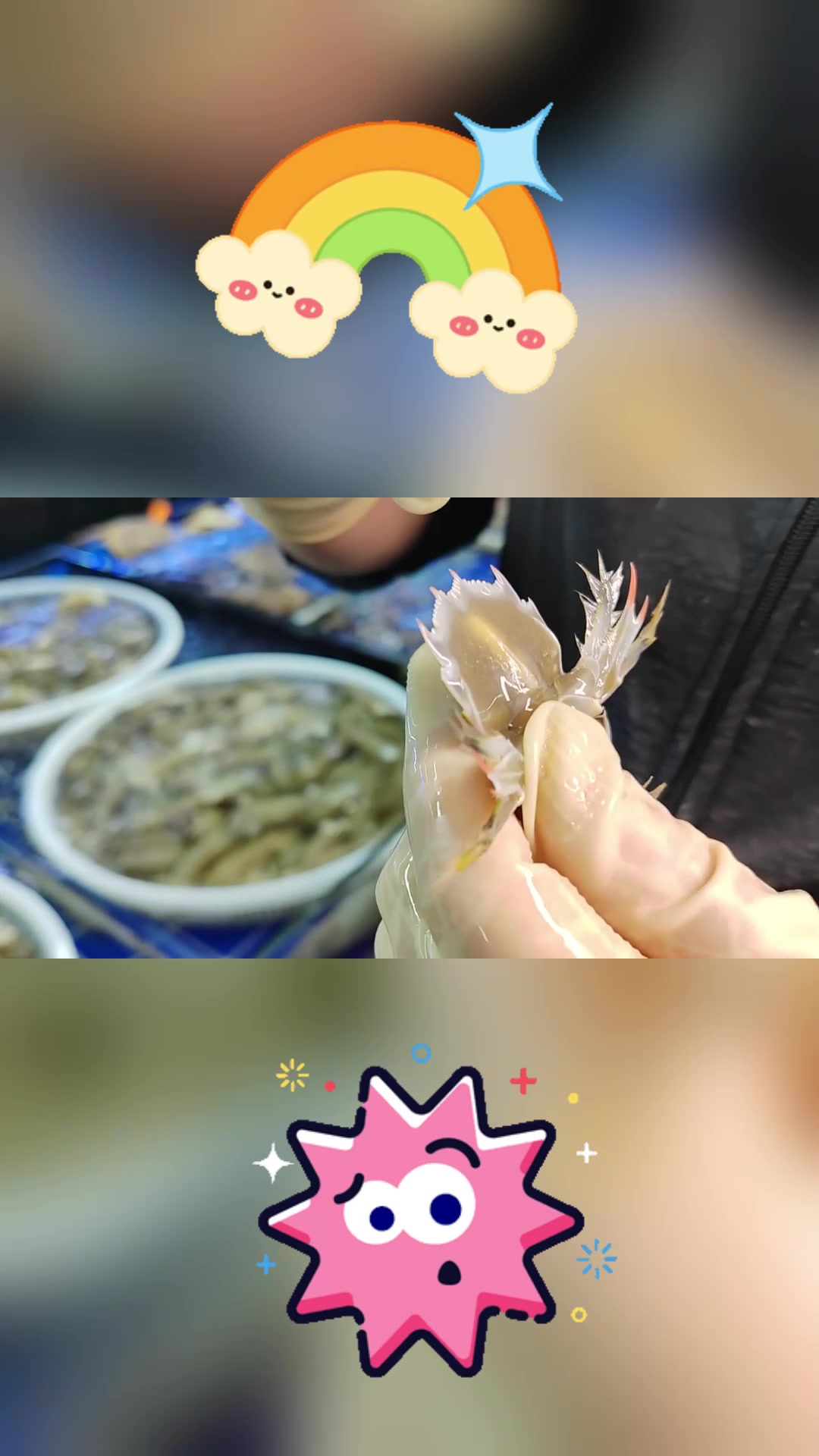 区分虾爬子公母,看这几点就够了