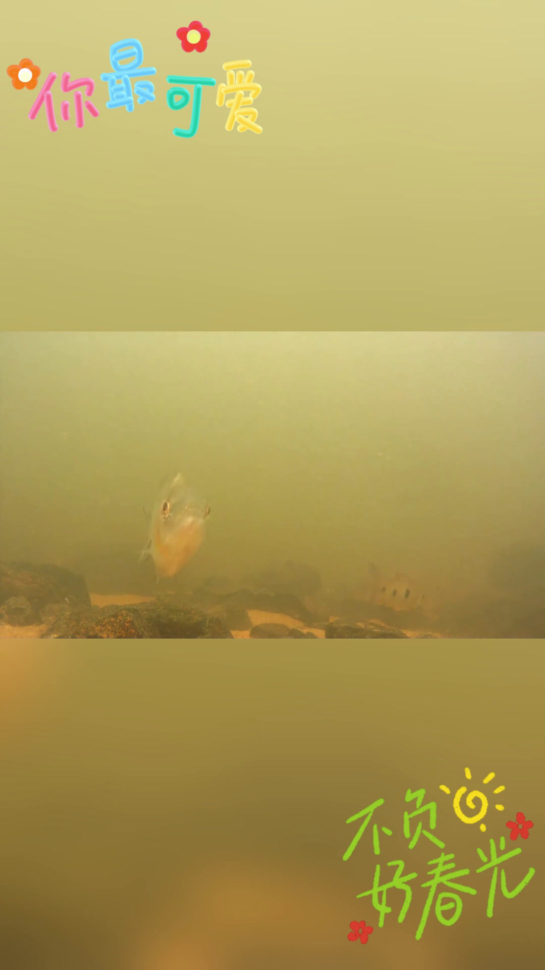 探秘秘鲁:黑食的自然栖息地