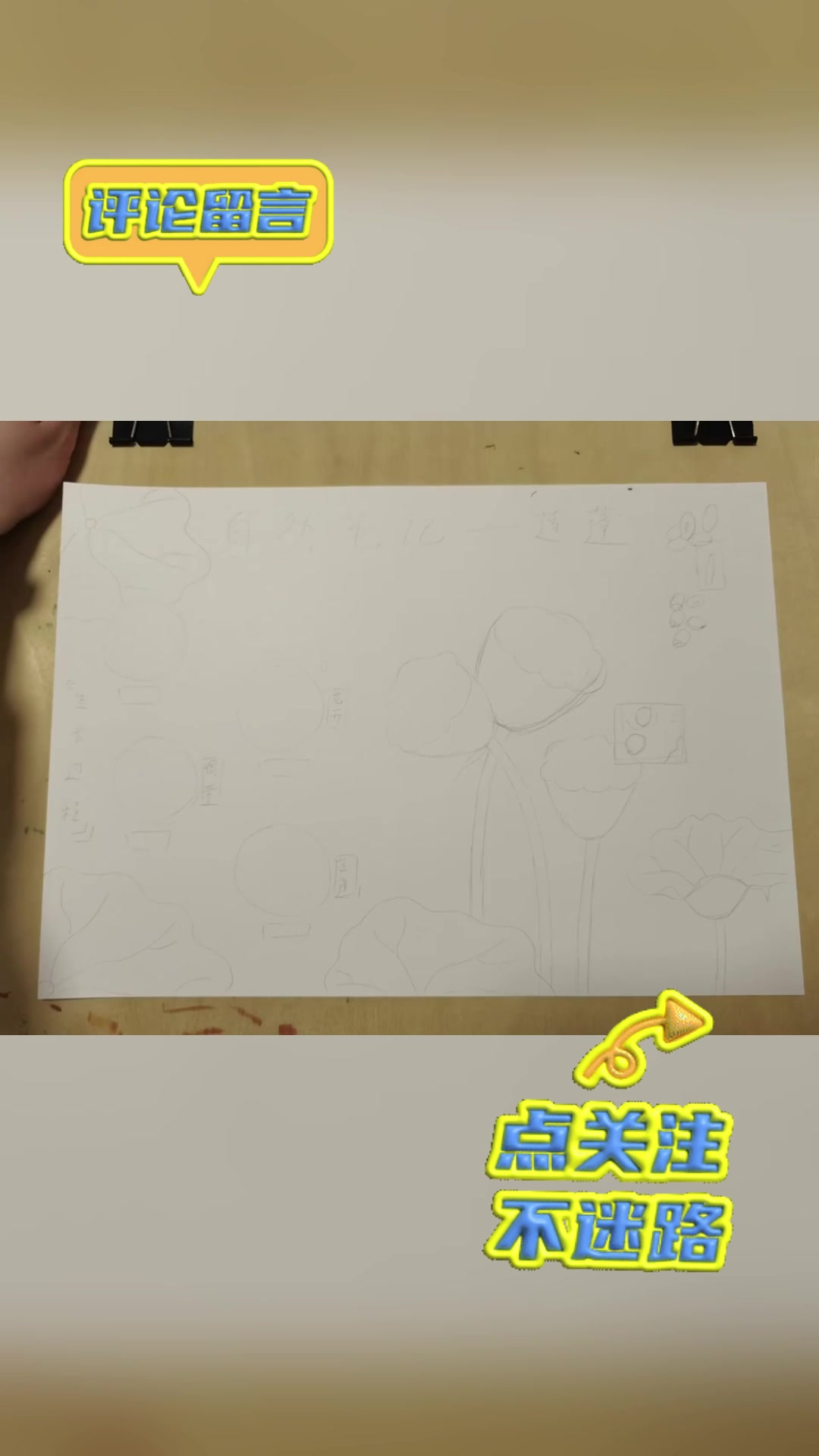观察记录:莲蓬的生长过程