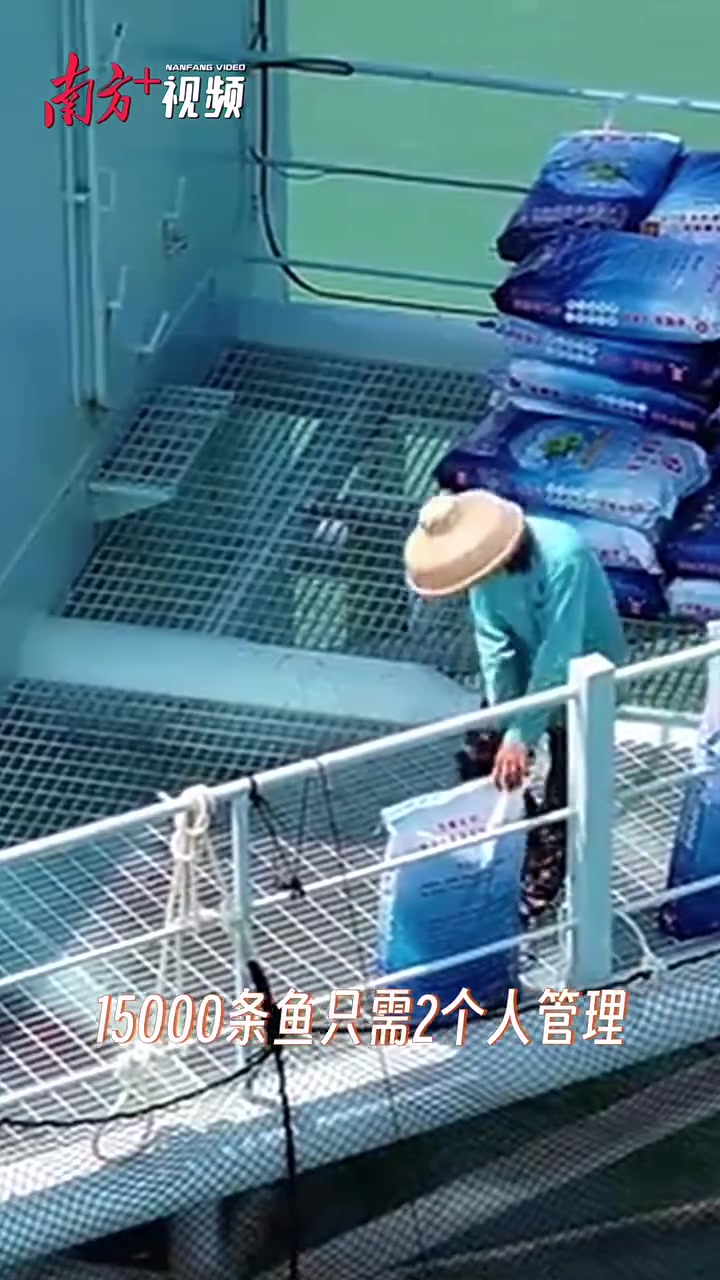 养殖1.5万尾鱼,2个人就能搞定,是谁给了他们底气?|这,真走“新”⑳