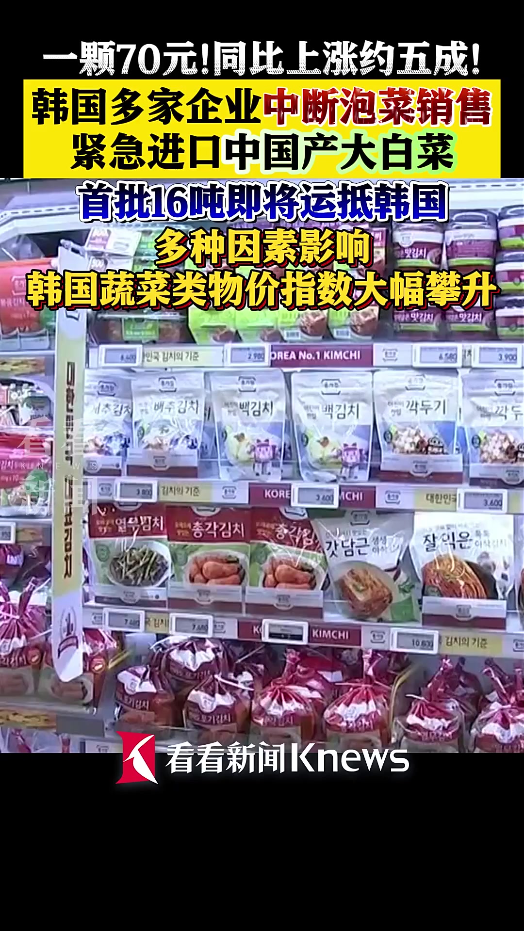 韩国多家企业中断泡菜销售 紧急进口中国大白菜