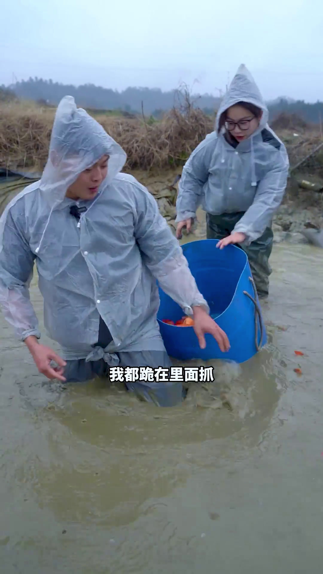 新年干了自己养了一年的红鱼塘,没想到里面竟然这么多红鲤鱼……农村生活