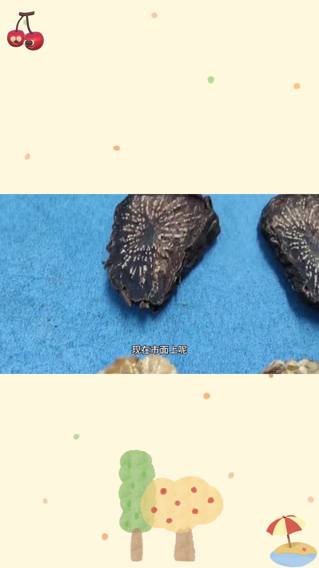 肉苁蓉怎么辨别真假