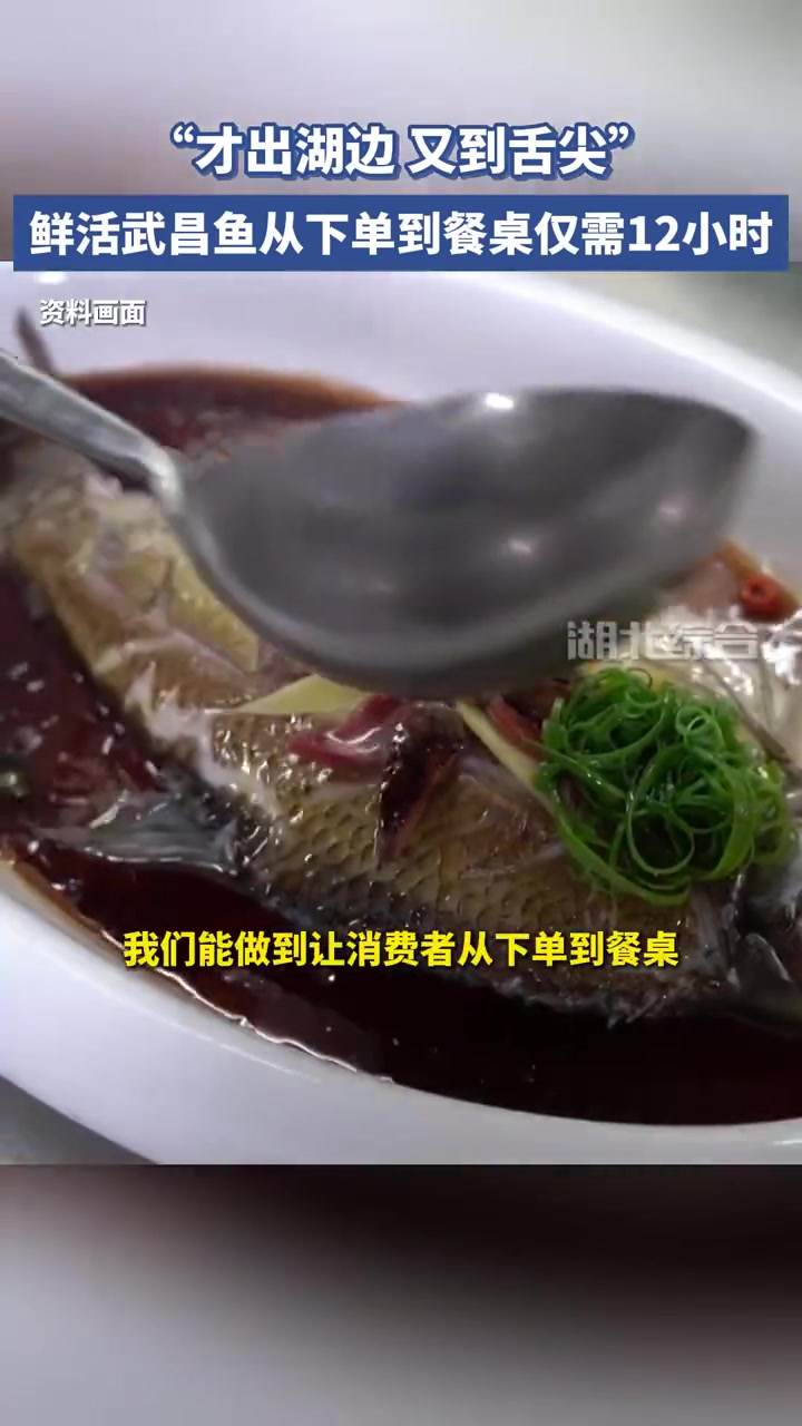 “才出湖边,又到舌尖”,鲜活武昌鱼从下单到餐桌仅需12小时!