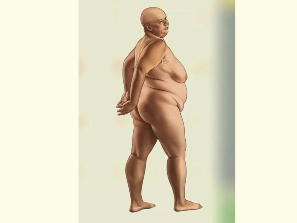解剖学视角:探讨女性身体的脂肪与肌肉关系