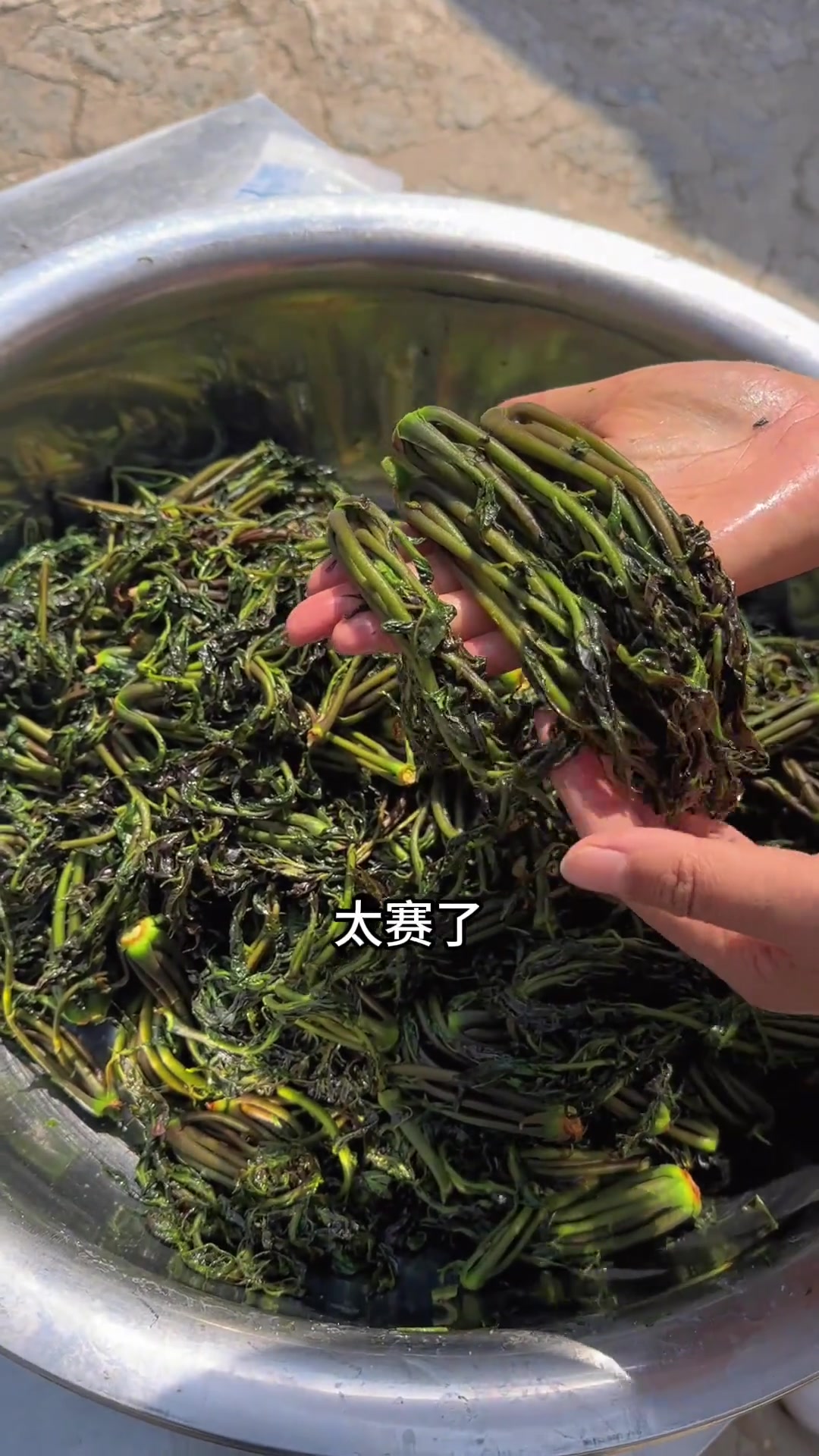 椿芽咸菜这么腌,第二年拿出来还是绿油油,鲜亮亮的。夏天吃个凉面,过年做个春卷,都不错