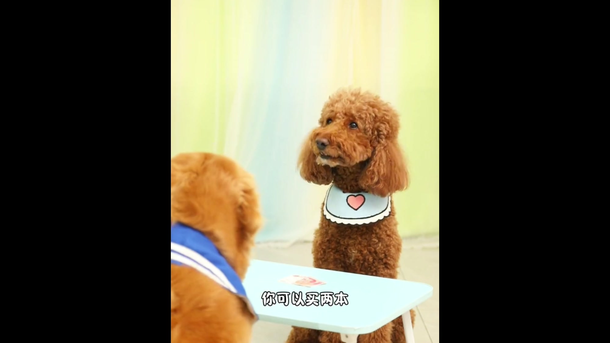 coco一点都不小气