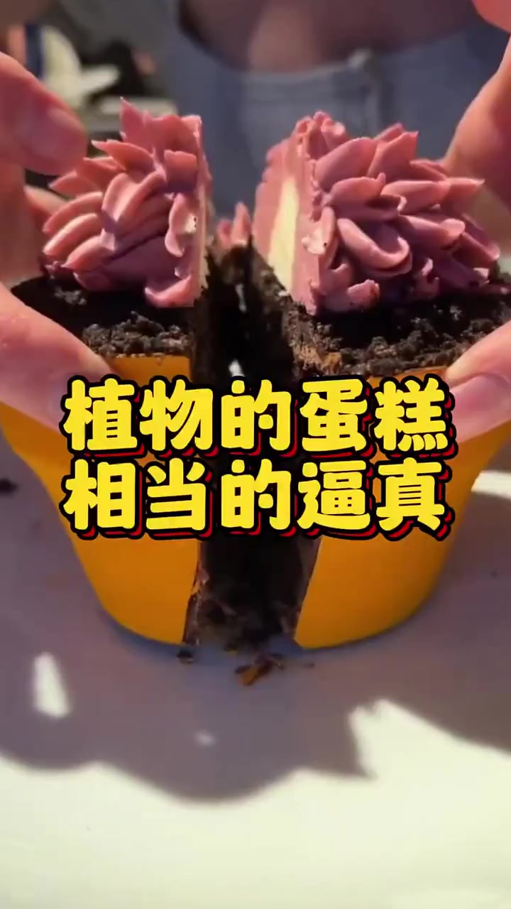 植物蛋糕哦