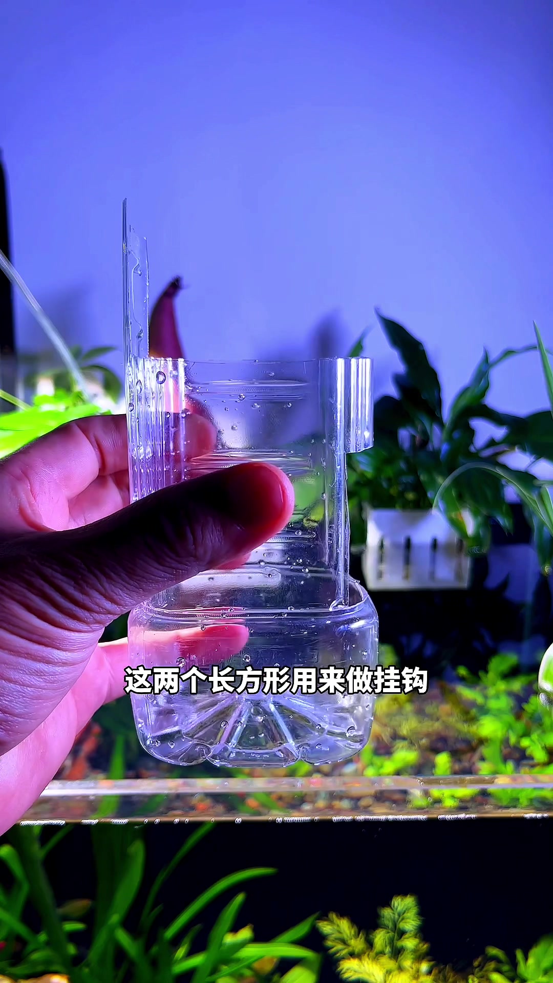 教你用废弃矿泉水瓶做一个小鱼喂食器,简单实用,可以节省不少鱼
