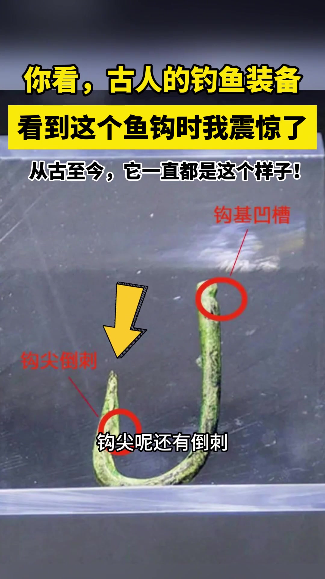 古人的钓鱼装备,看到这个鱼钩时我震惊了