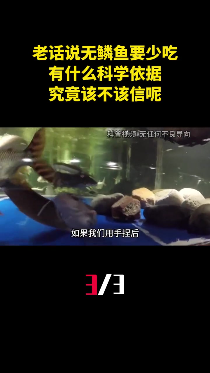 老话说无鳞鱼要少吃,有什么科学依据?究竟该不该信呢?(3)