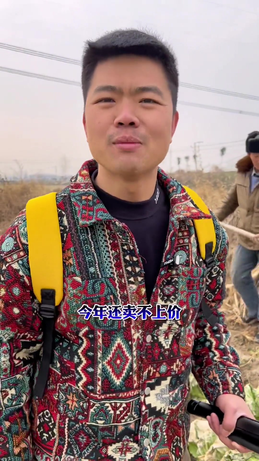 农户白菜地拍摄短视频大白菜 小