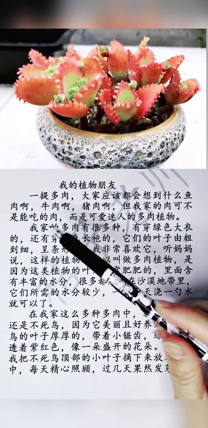 《我的植物朋友》