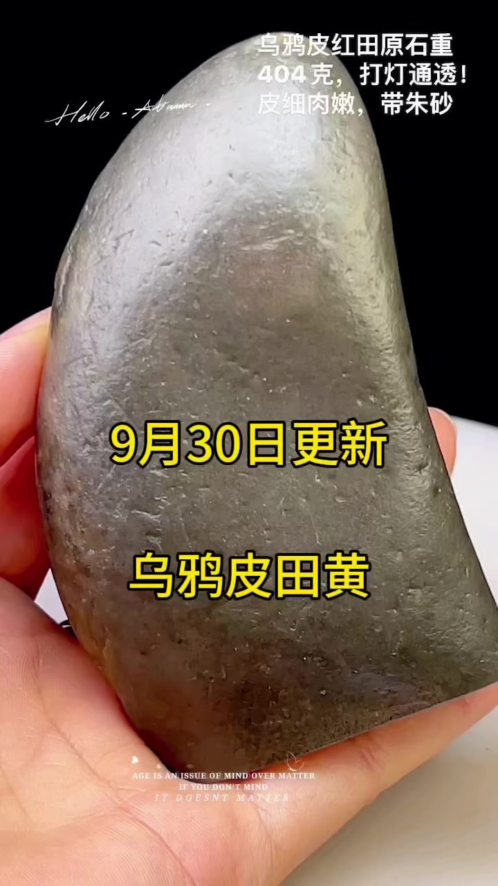 乌鸦皮田黄石摆件