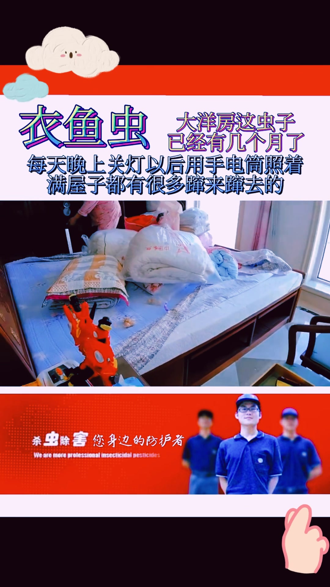 衣鱼虫怕什么?如何有效防治衣鱼虫?