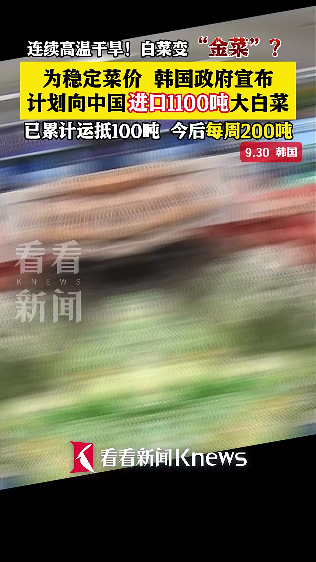 白菜变“金菜”?中国出手了 这轮先安排1100吨