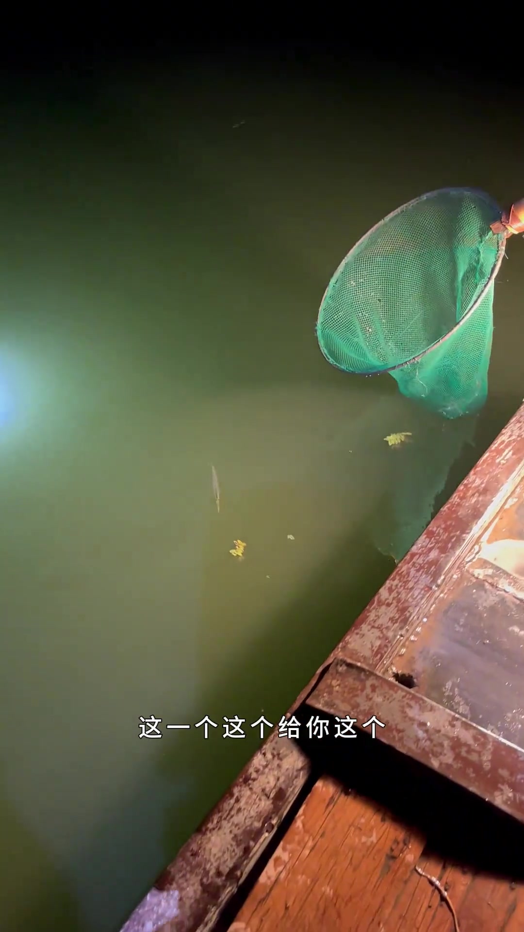 骂婆鱼,一种长相奇特的小玩意……嗯……很好吃!乡村守护人