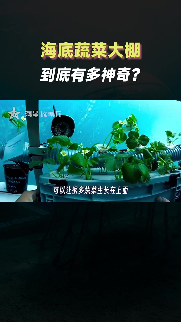 为什么要去海底建造蔬菜大棚?或将颠覆传统农业!海底种植
