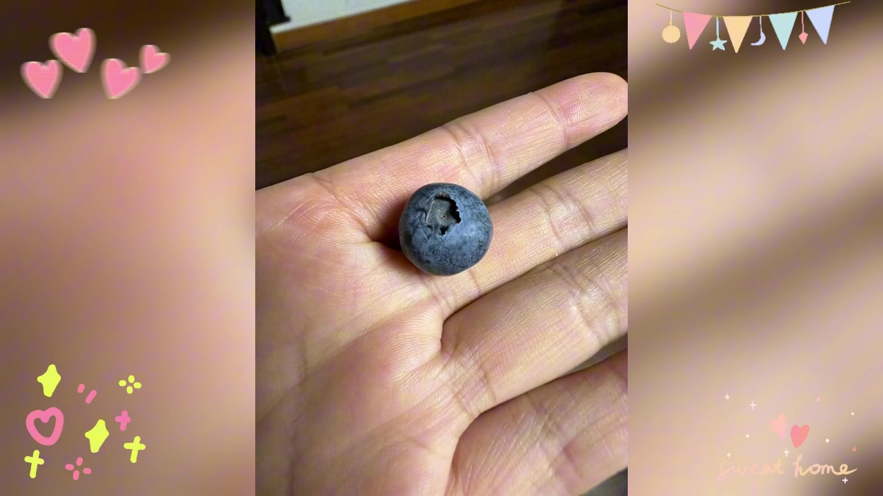 种蓝莓后,我家实现蓝莓自由了!