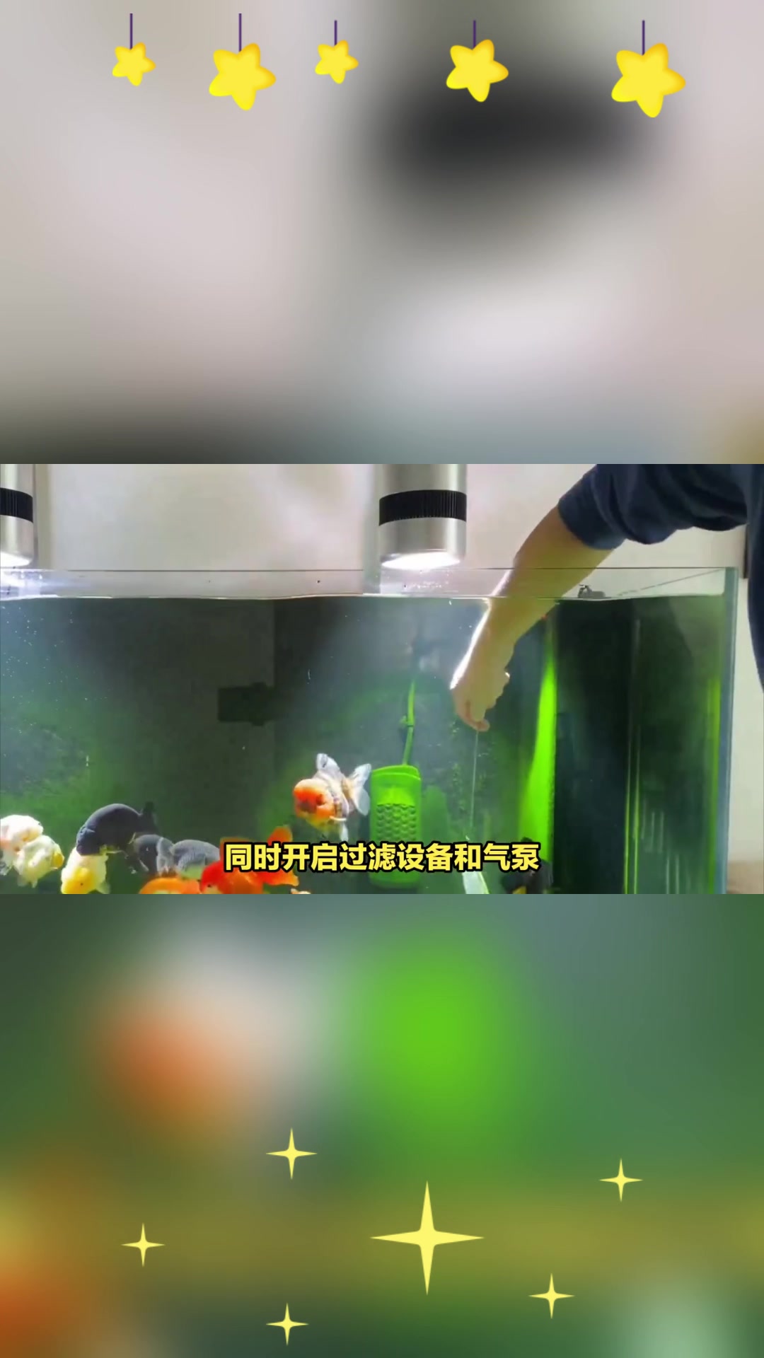 七彩鱼换水有妙招