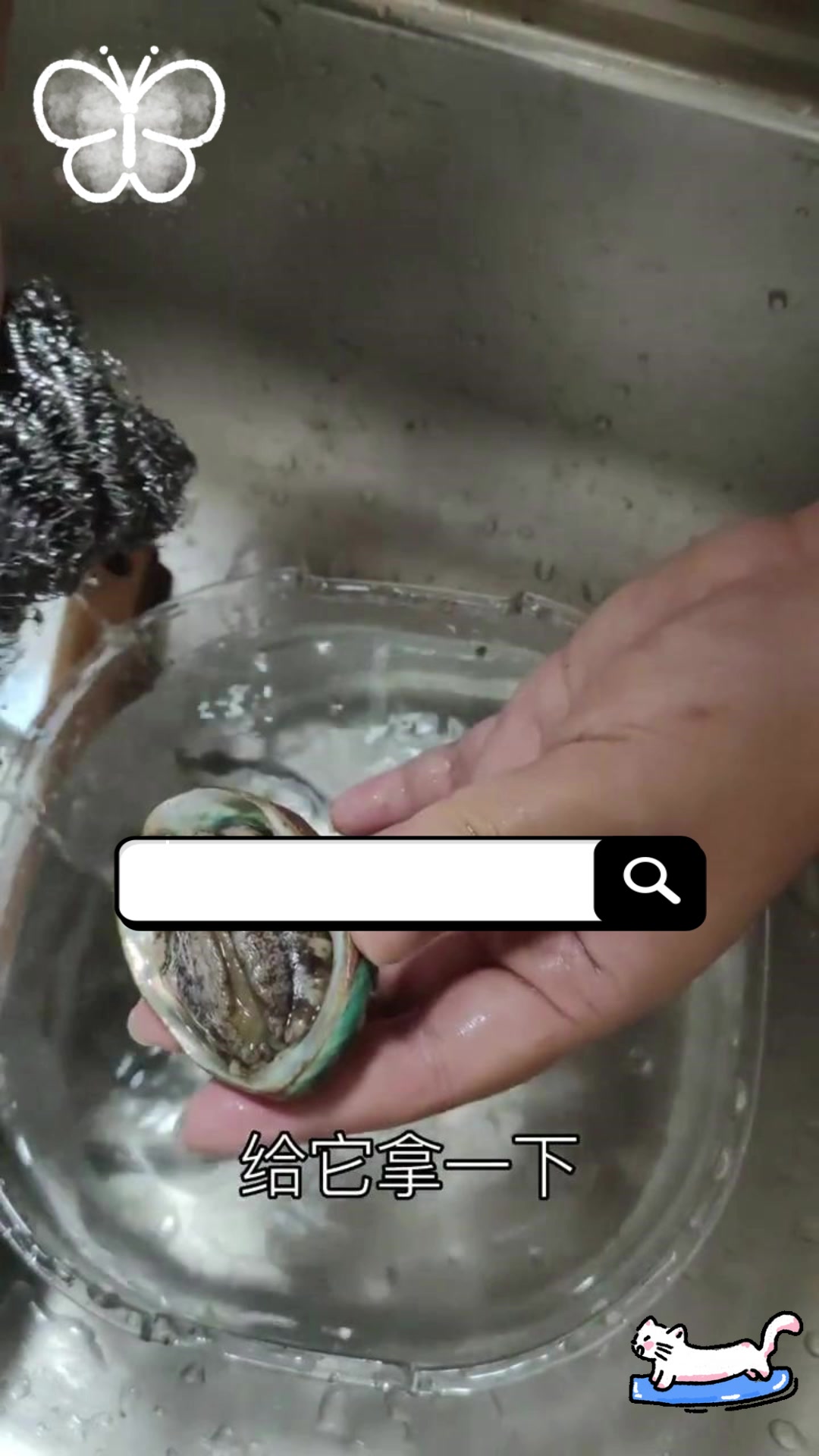 鲍鱼为何突然咬人?