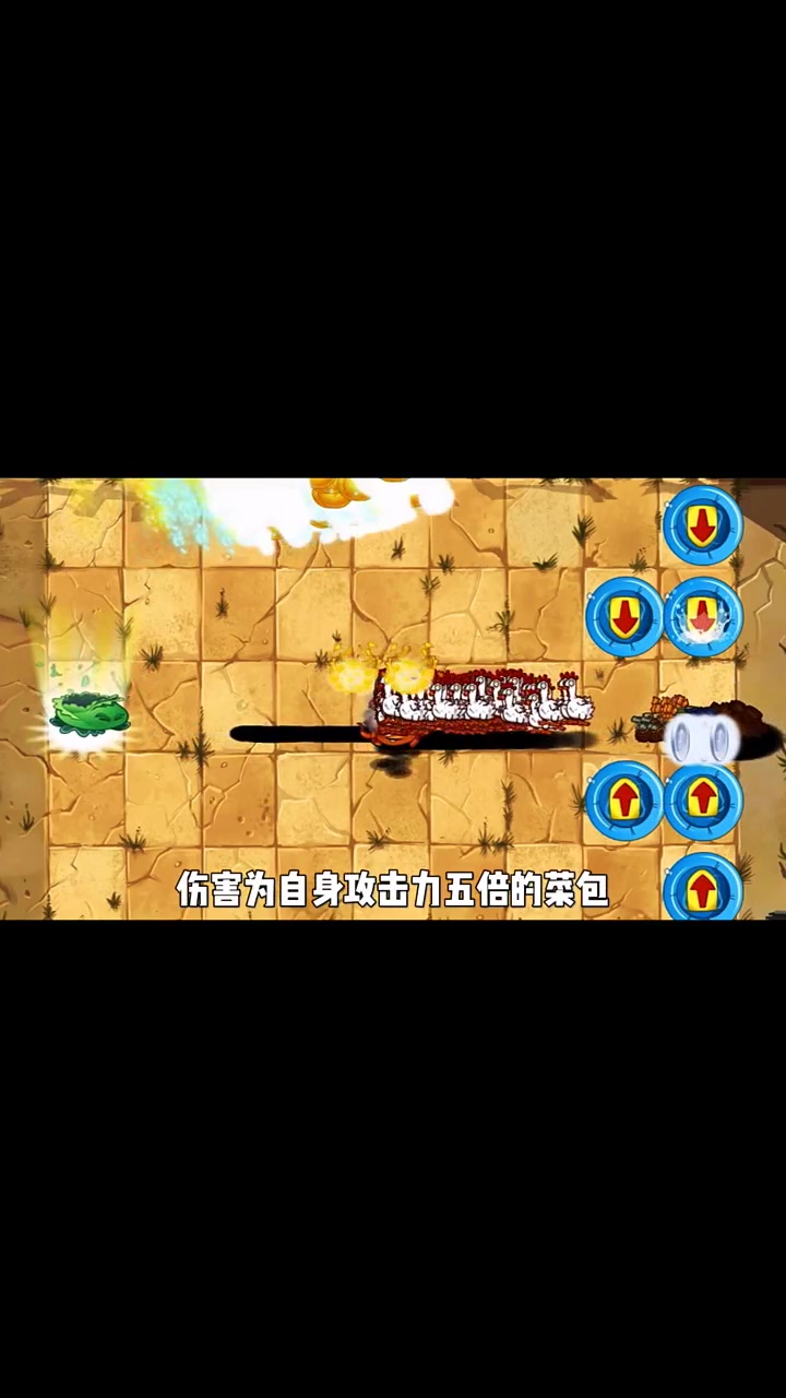 平民植物:白卡巅峰之一卷心菜投手1~5阶测评 秘 人。(O732037030)