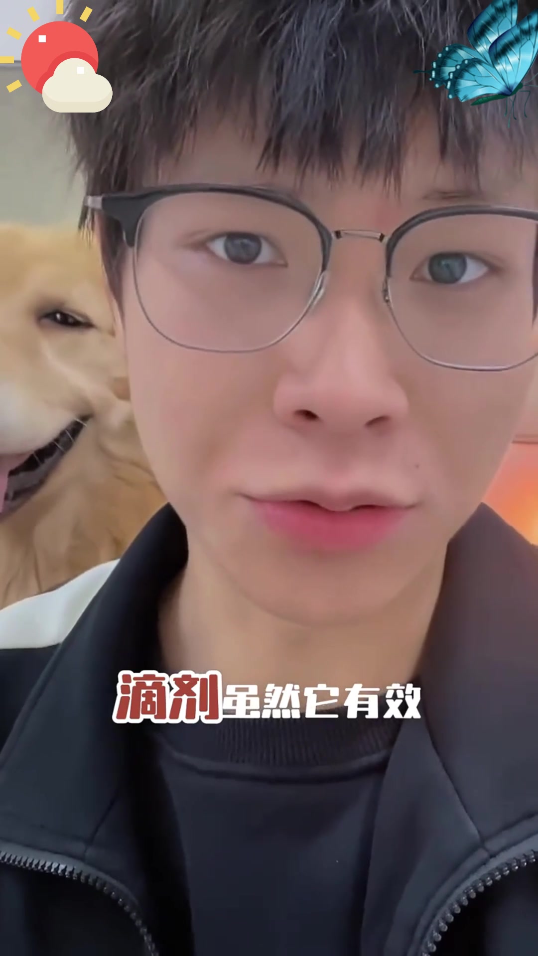 生骨肉喂养比干粮更友善