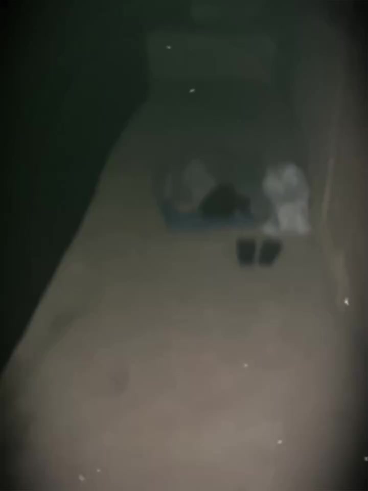 后来啊 我们逝去的不止方舟呢～