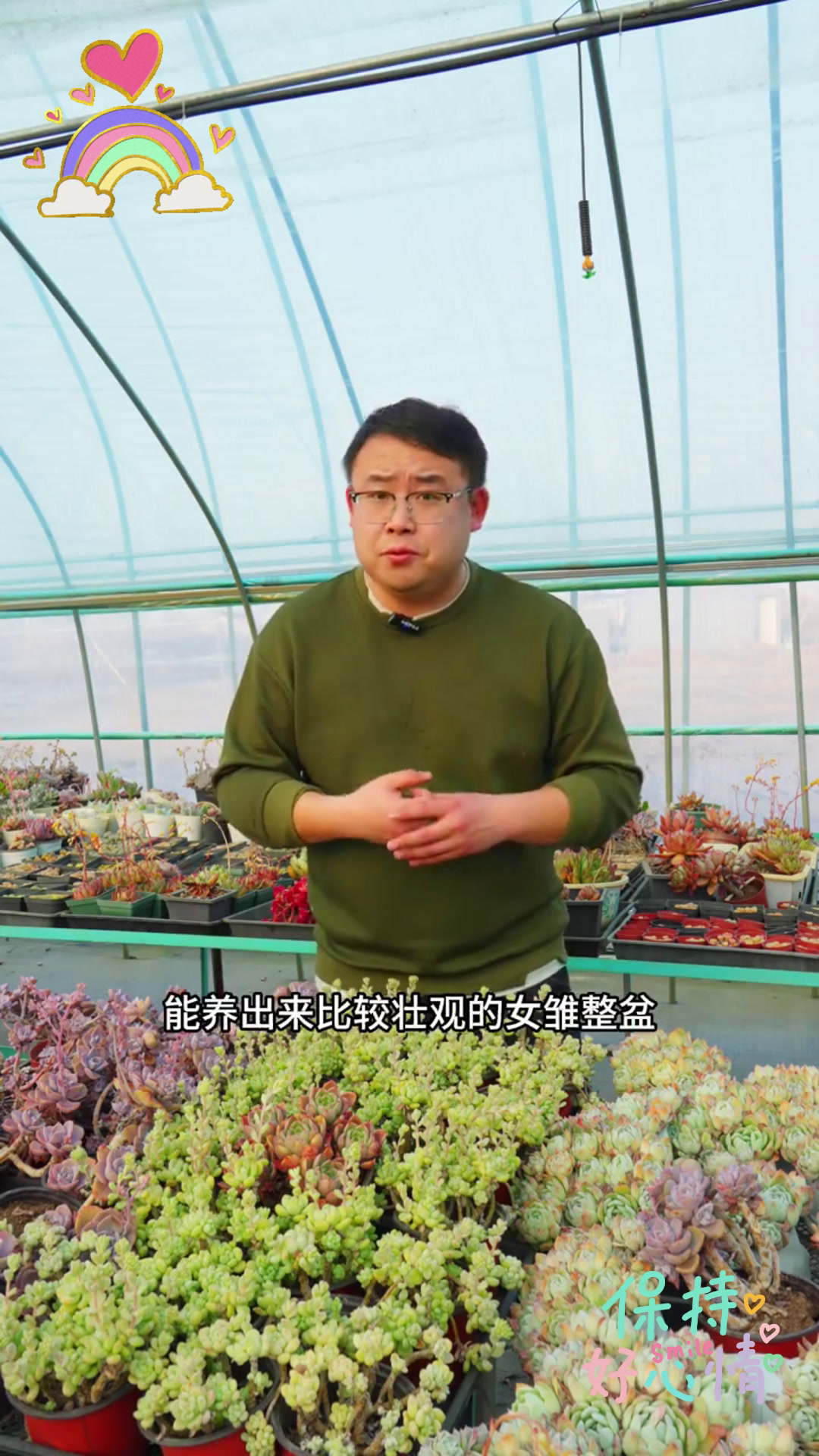 可爱爆汁的多肉植物品种