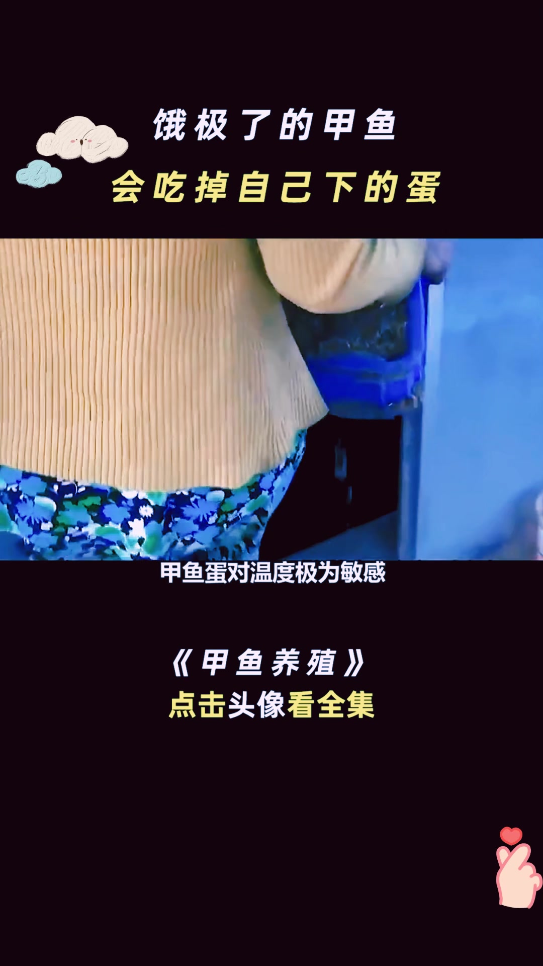 甲鱼养殖方法大揭秘!