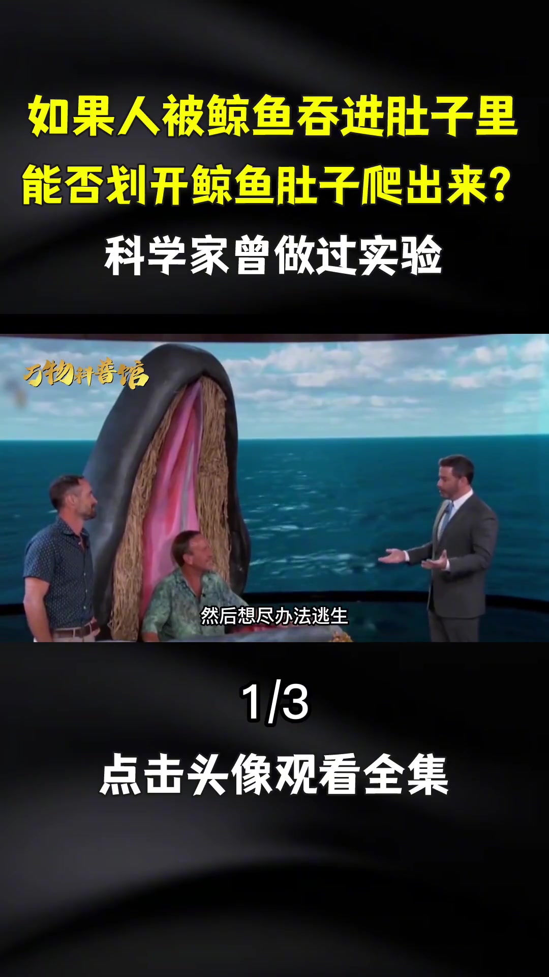 如果你突然被鲸鱼吞下,会发生什么?手里有刀能自救吗?