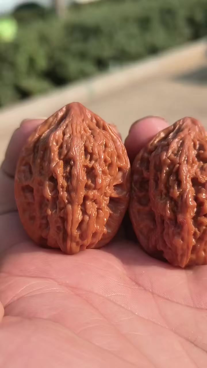 核友纯手盘玩不到两个月的野生鸡心