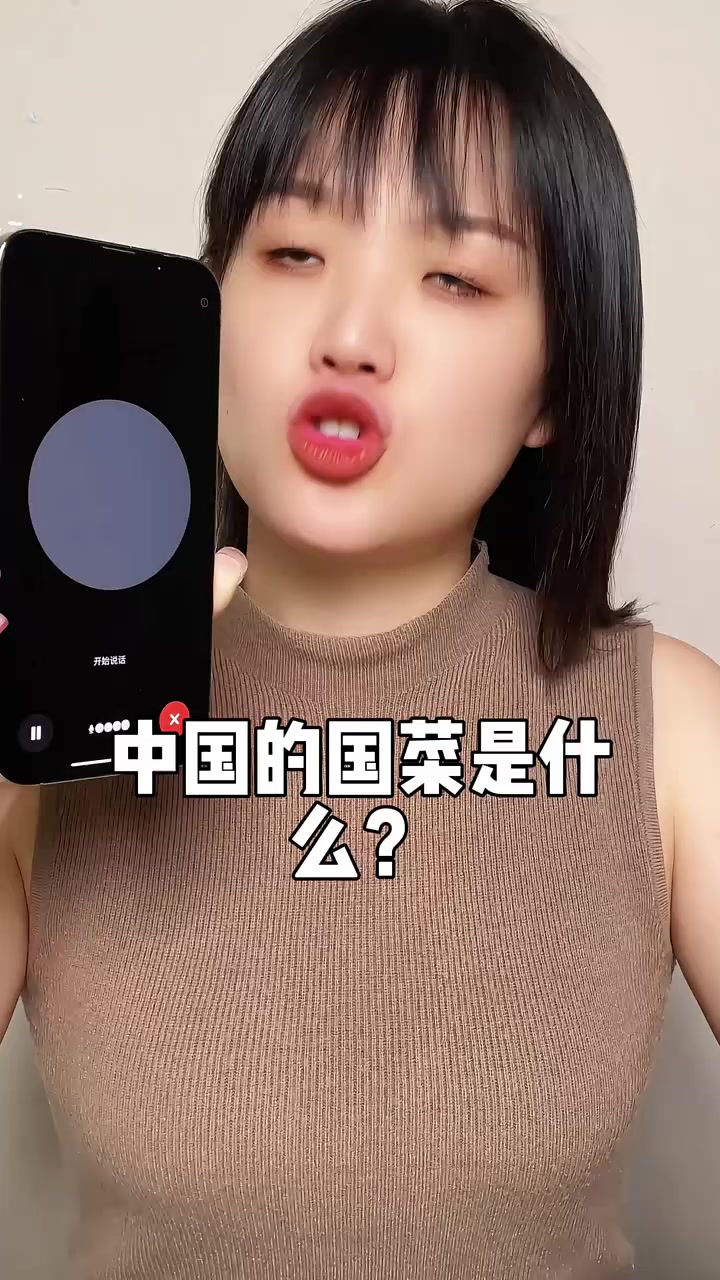 中国的国菜是什么 认知 真相