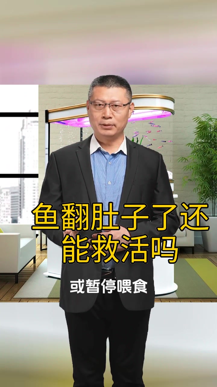 鱼翻肚子了还能救活吗