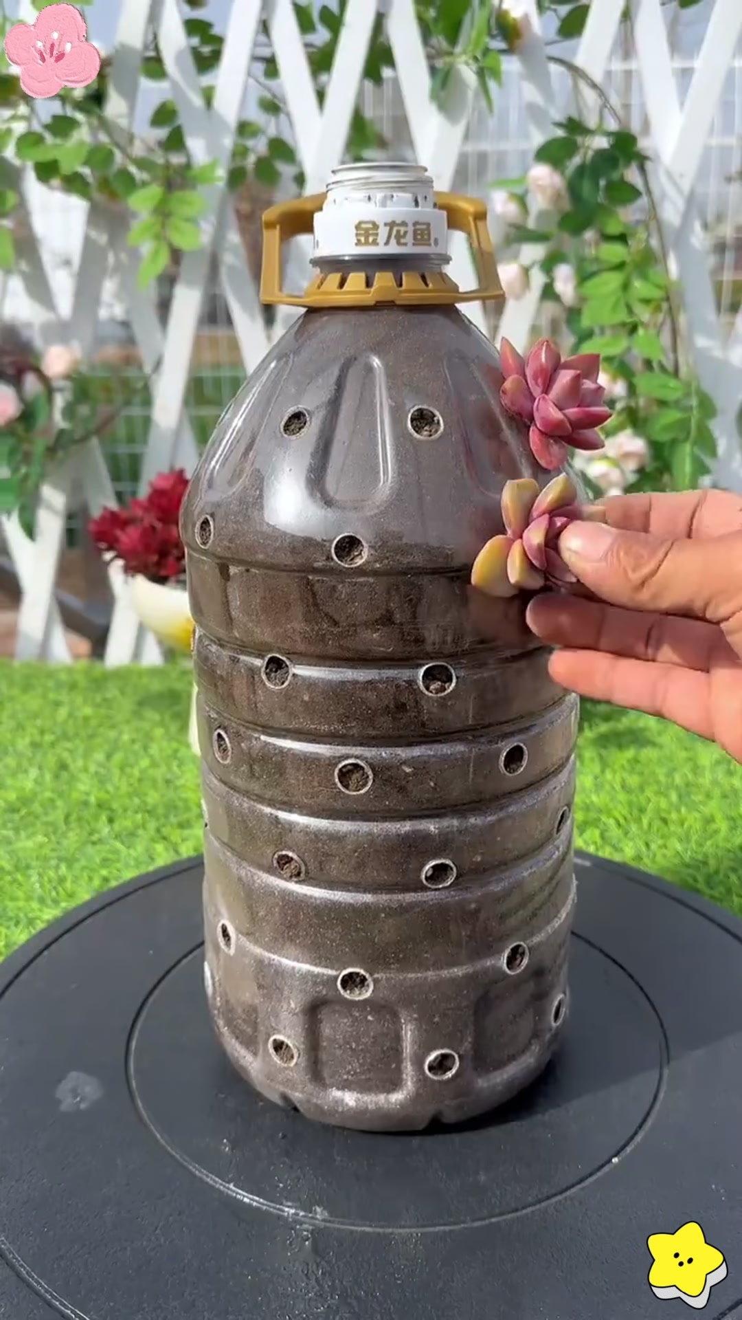 废旧油桶大改造,秒变实用花桶
