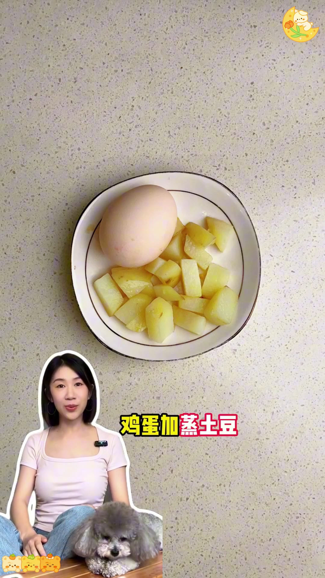 泰迪的独家狗饭食谱,让狗狗胃口大开!