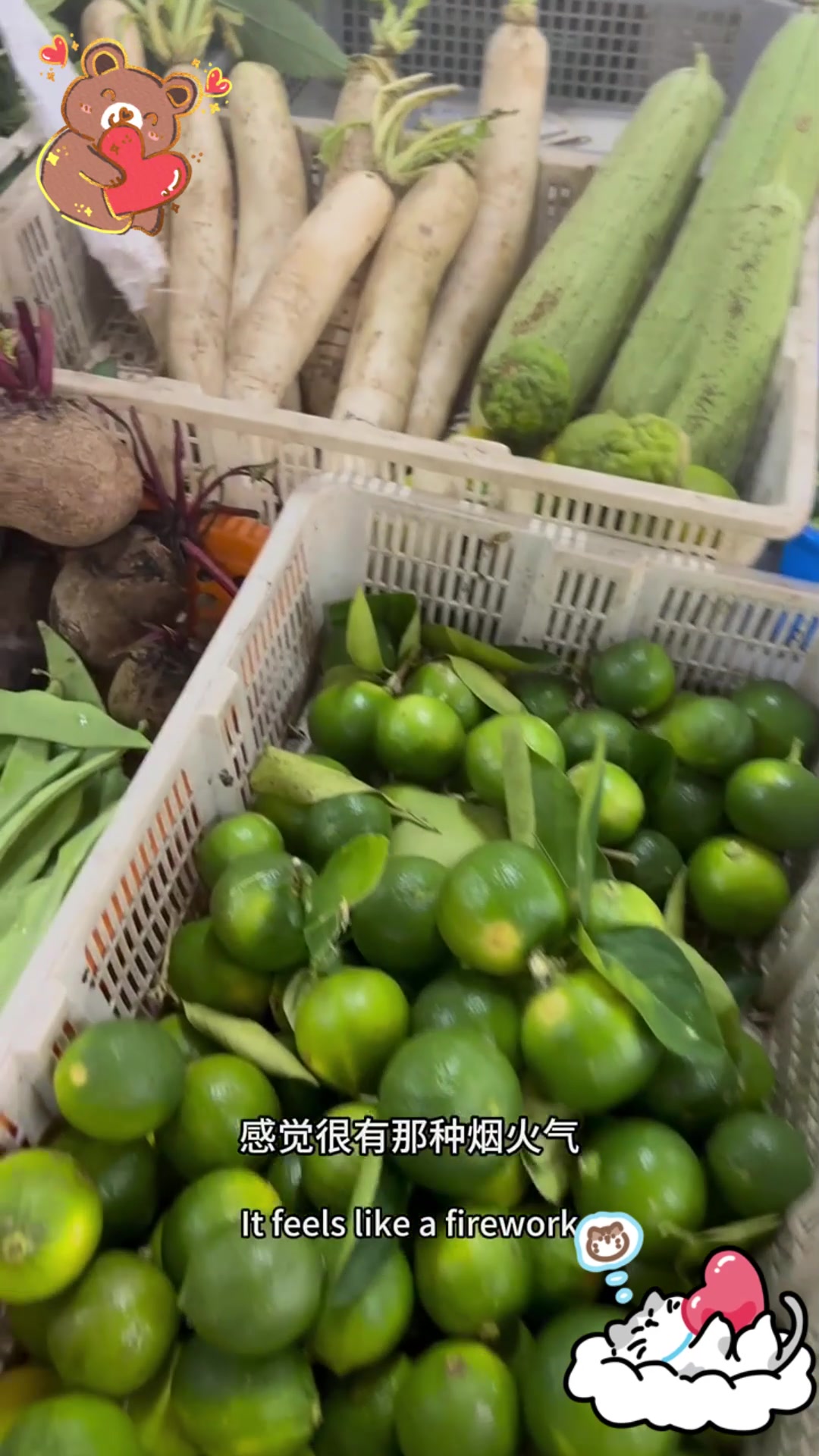 马来西亚水果蔬菜价格贵吗?