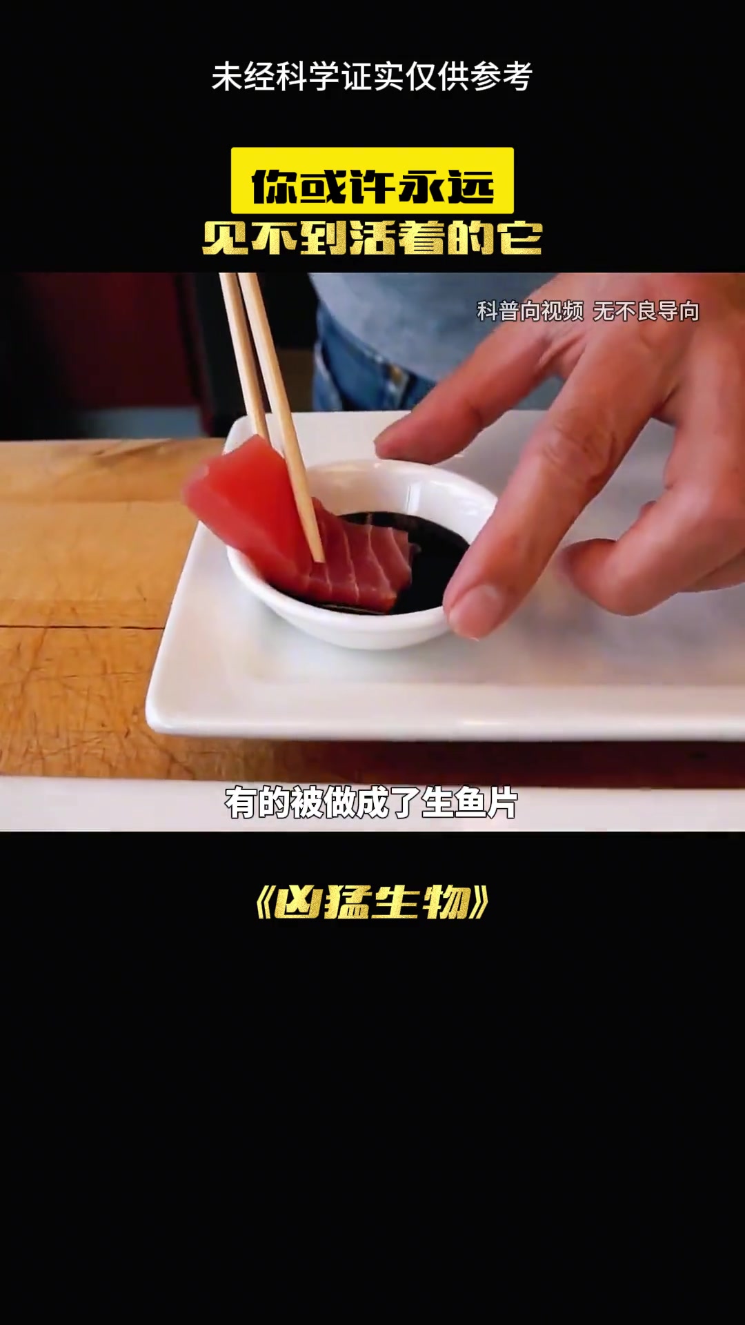 海洋里最凶猛的动物是谁