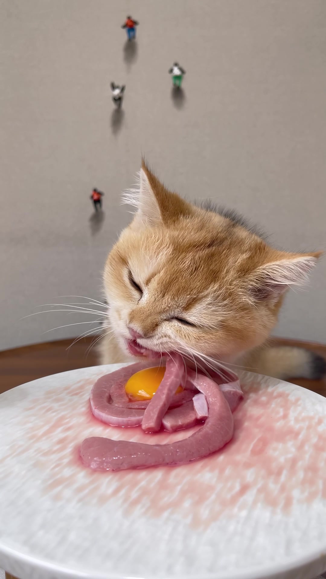 猫咪生骨肉之肉条条