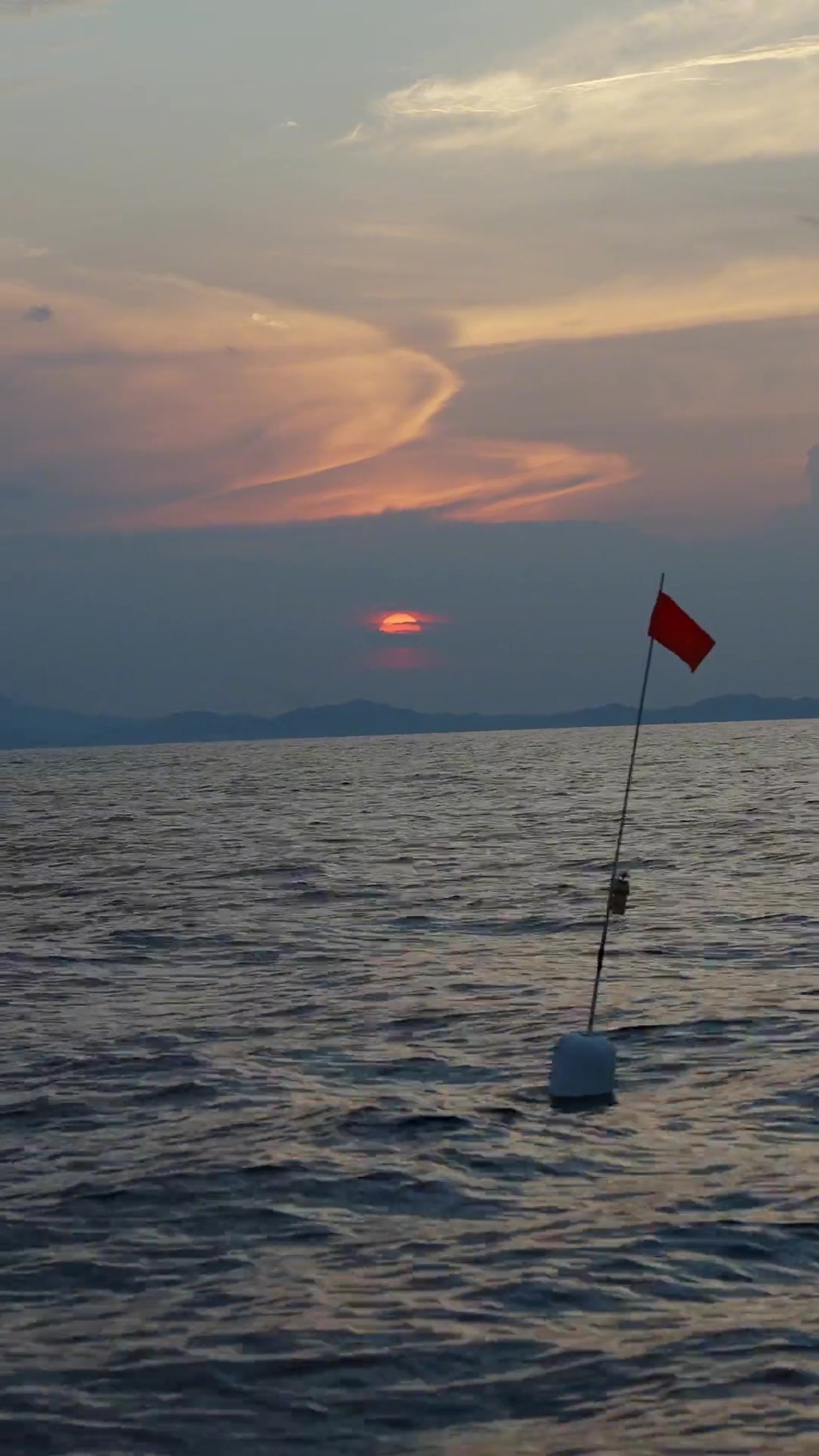 出海!披霞而出,披星来归。——海鳗鱼叁 美食