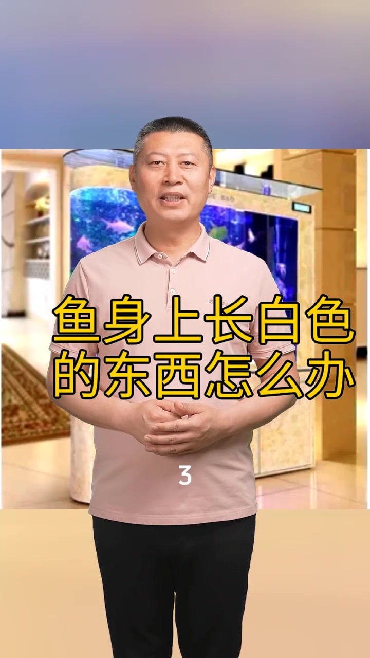 鱼身上长白色的东西怎么办