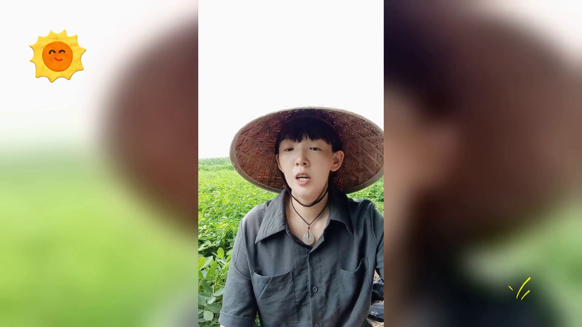 立秋后适宜种植,的蔬菜种类