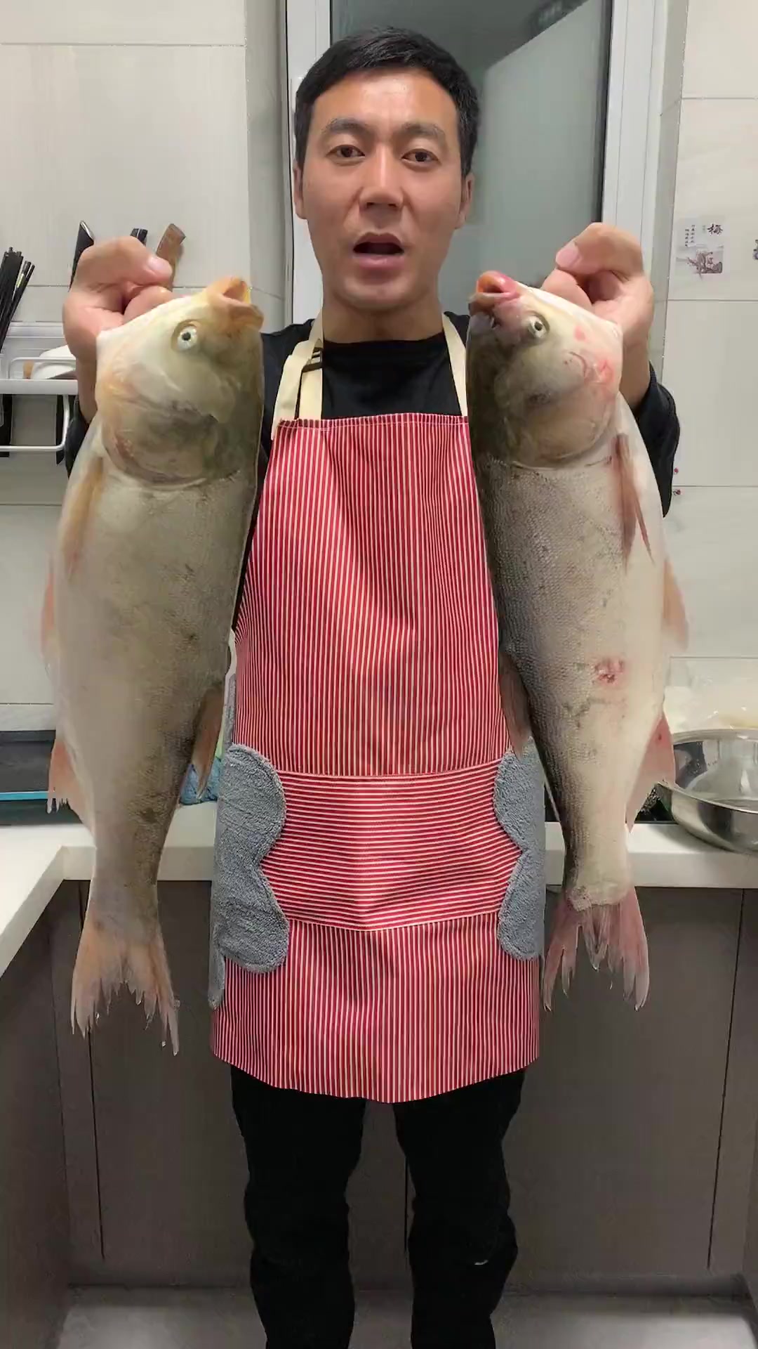 家常炖白鲢鱼 家常菜