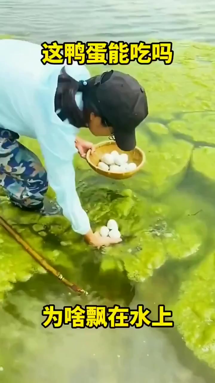 这鸭蛋能吃吗?为啥飘在水上?