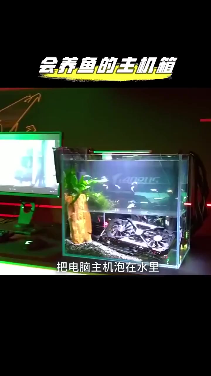 电脑机箱还能养鱼?不漏电还散热用它来办公估计我做梦都会笑醒