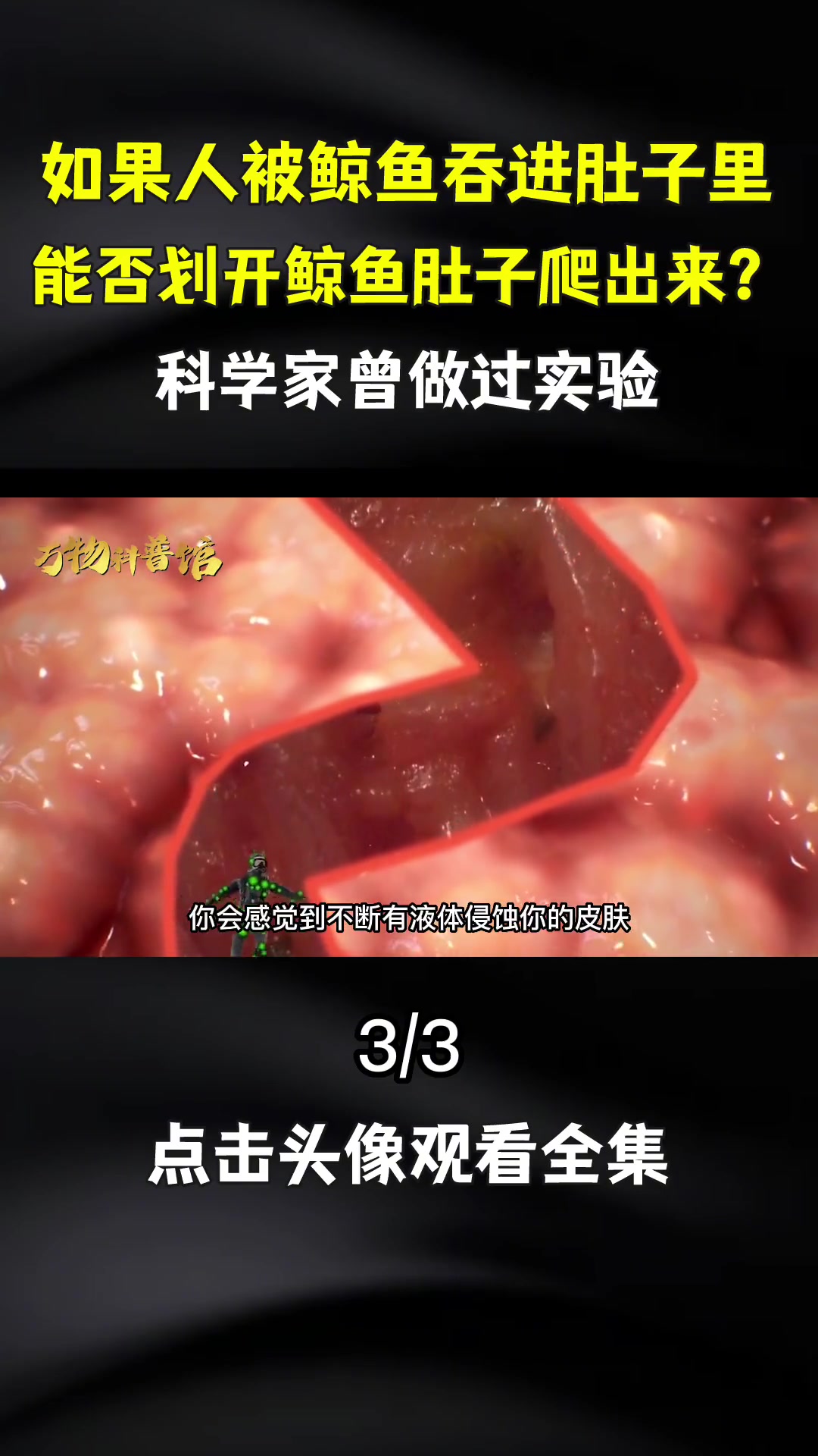 如果你突然被鲸鱼吞下,会发生什么?手里有刀能自救吗?