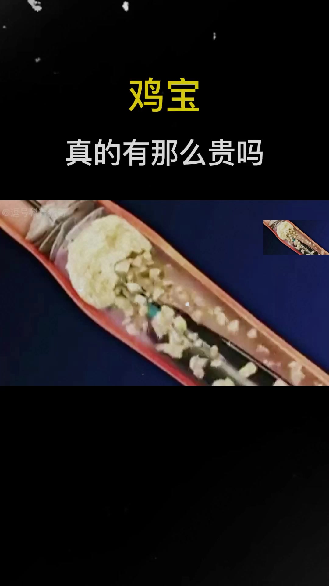 传说中的鸡宝到底是什么?令我们痛不欲生的结石,在动物体内就成