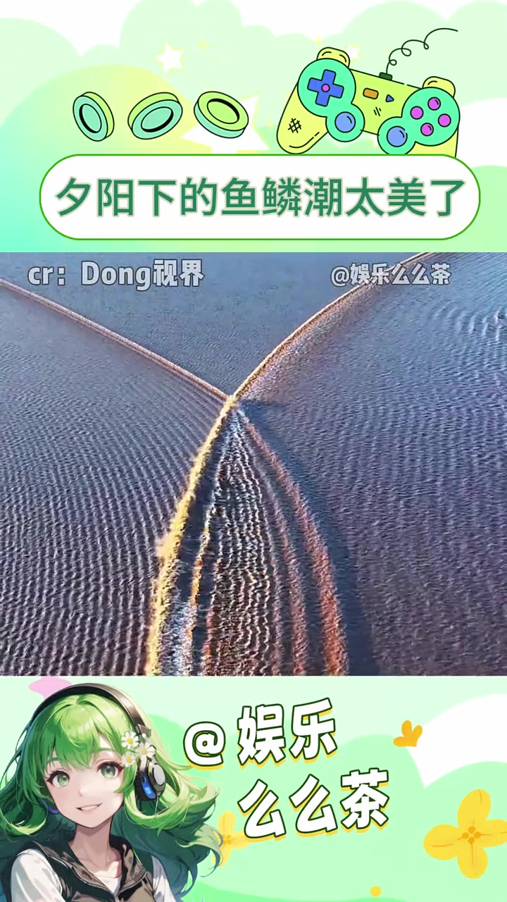 夕阳下的鱼鳞潮太美了 鱼鳞潮 蝴蝶潮
