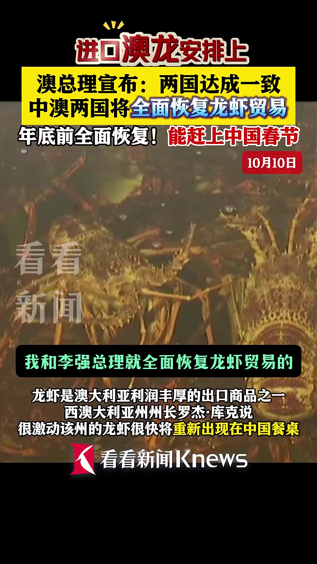 有望赶上春节!澳总理:中国将恢复进口澳龙
