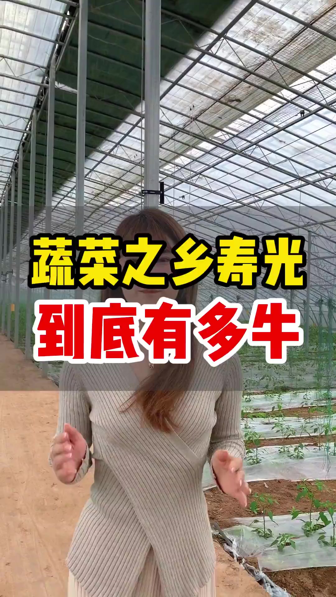 这就是蔬菜之乡——寿光